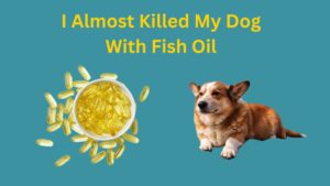 I Almost Killed My Dog with Fish Oil