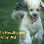 Signs of a Healthy and Happy Dog