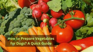 How to Prepare Vegetables for Dogs
